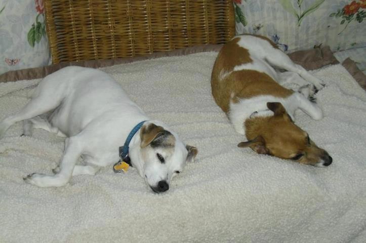 Guarding the house after Marathon bombing lockdown